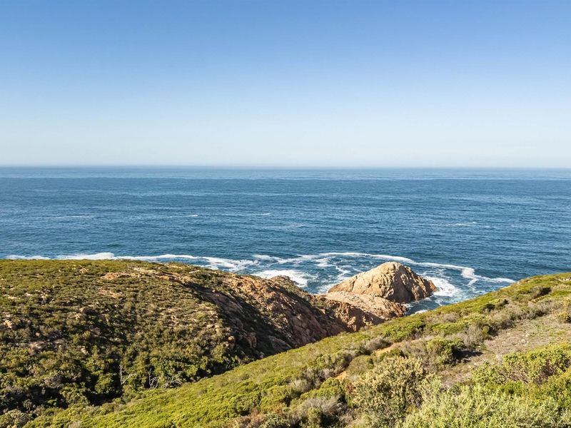 A scenic coastal view overlooking the ocean, rocky shoreline, and natural vegetation.