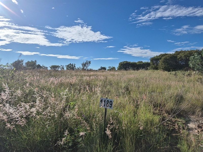 Vacant Land For Sale in Helderzicht Eco Estate, Potchefstroom, North West - Photo 9