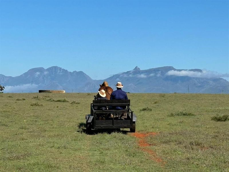 Farm For Sale in Mossel Bay Rural, Mossel Bay - Photo 2