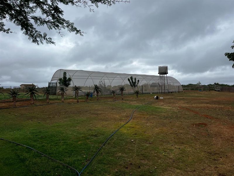 Farm For Sale in Mossel Bay Rural, Mossel Bay - Photo 10