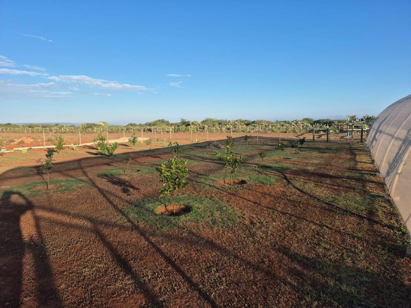 Farm For Sale in Mossel Bay Rural, Mossel Bay - Photo 9