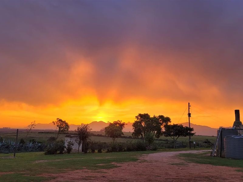 Farm For Sale in Mossel Bay Rural, Mossel Bay - Photo 3