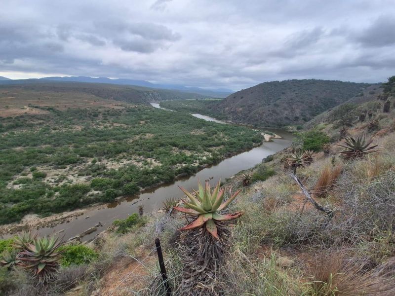 Farm For Sale in Mossel Bay Rural, Mossel Bay - Photo 4