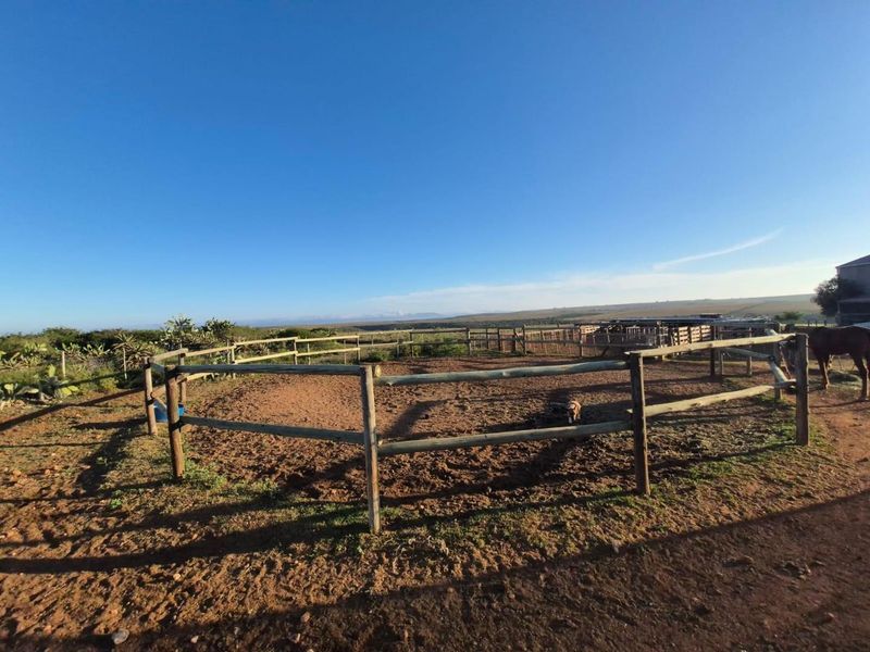 Farm For Sale in Mossel Bay Rural, Mossel Bay - Photo 7