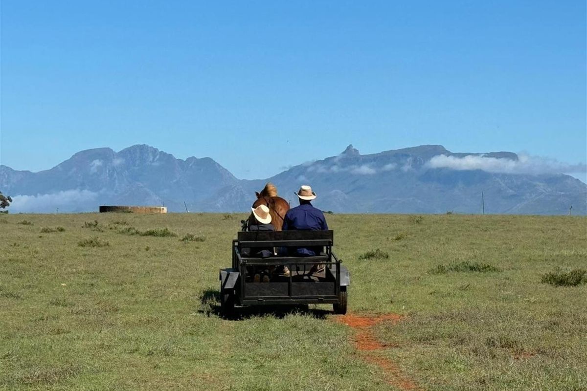 Expansive farm landscape featuring open grazing fields with a distant mountain range backdrop and a visible water reservoir.