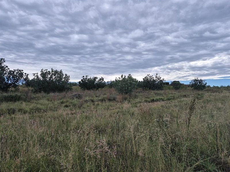 Vacant Land For Sale in Helderzicht Eco Estate, Potchefstroom, North West - Photo 10