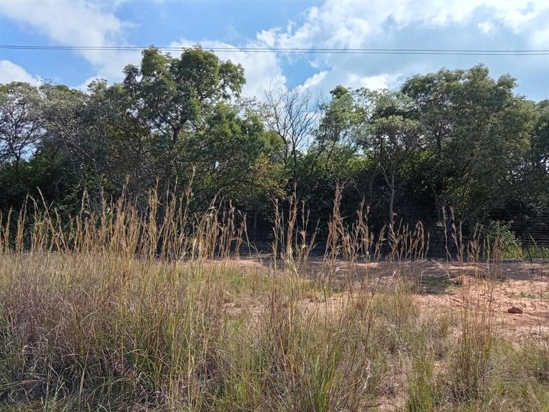 Vacant Land Sold in Negester Klein-Kariba, Bela Bela - Photo 3