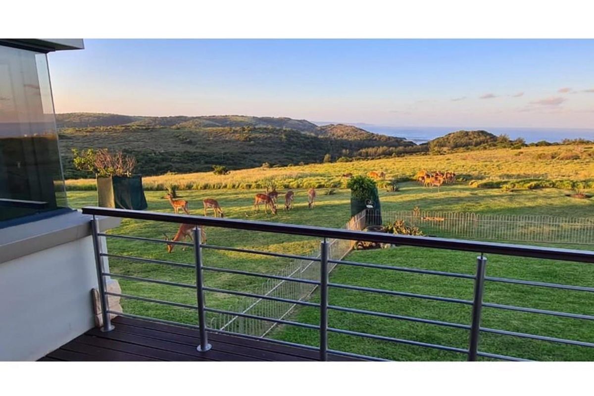 Elegant Coastal Living for the Discerning  Buyer in a Prestigious Estate - Cypraea Sands - Photo 4