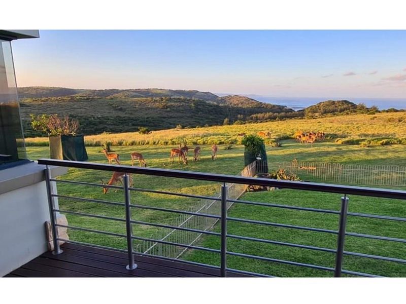 Elegant Coastal Living for the Discerning  Buyer in a Prestigious Estate - Cypraea Sands - Photo 4