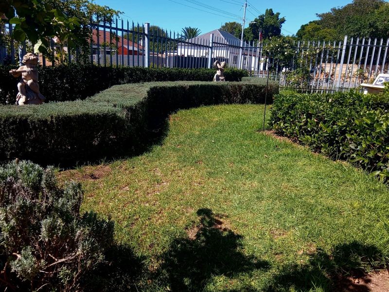 Spacious Dual Living in the Heart of Garden Route - Photo 2