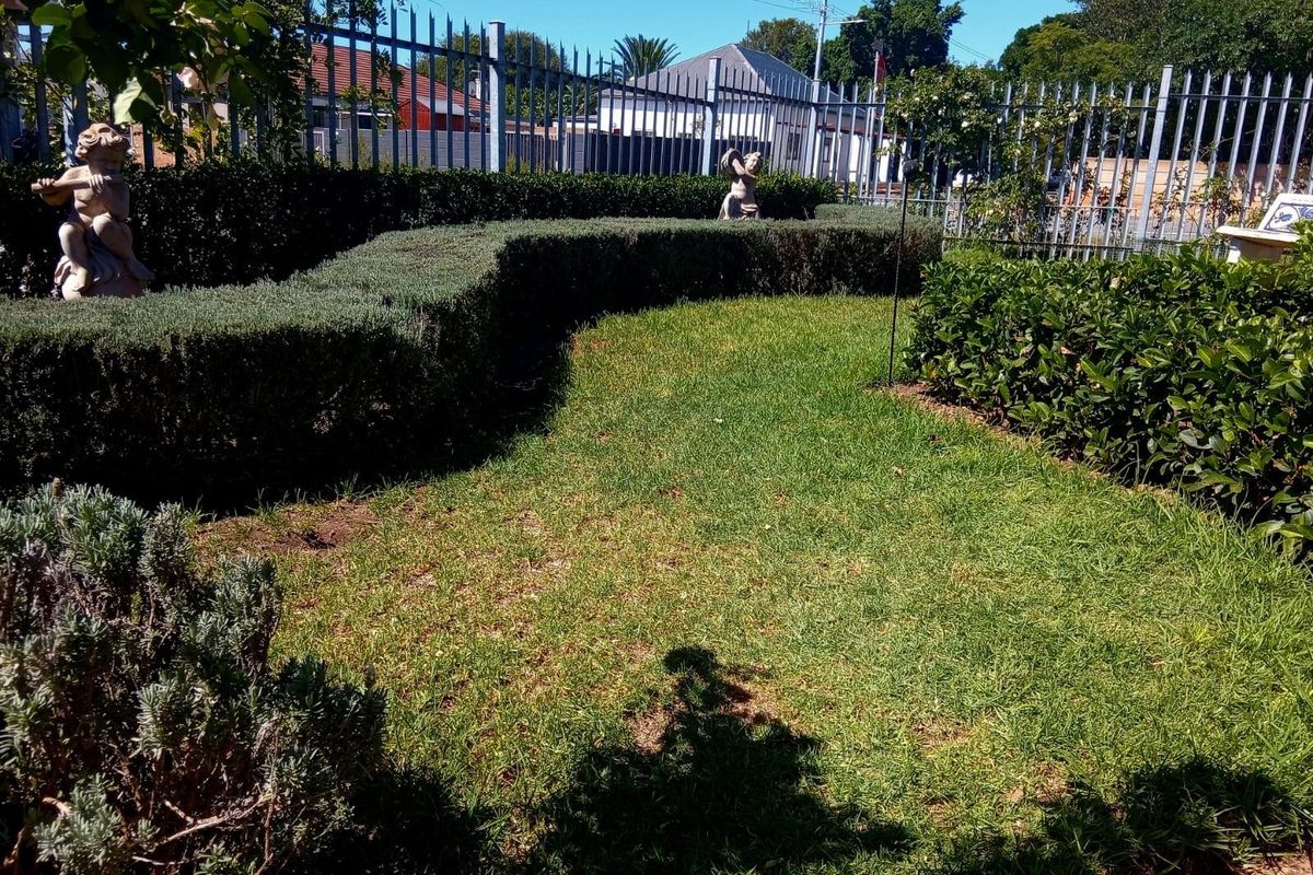 Spacious Dual Living in the Heart of Garden Route - Photo 2