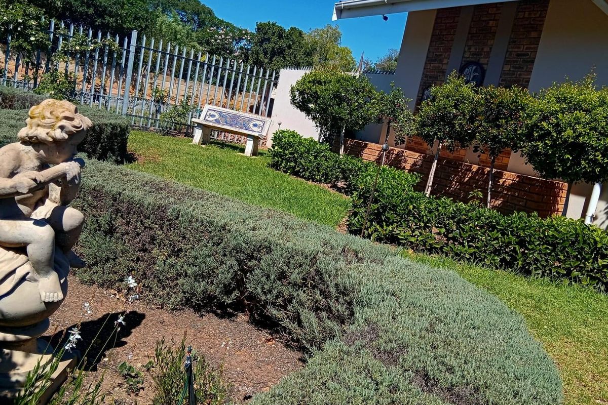 Spacious Dual Living in the Heart of Garden Route - Photo 3