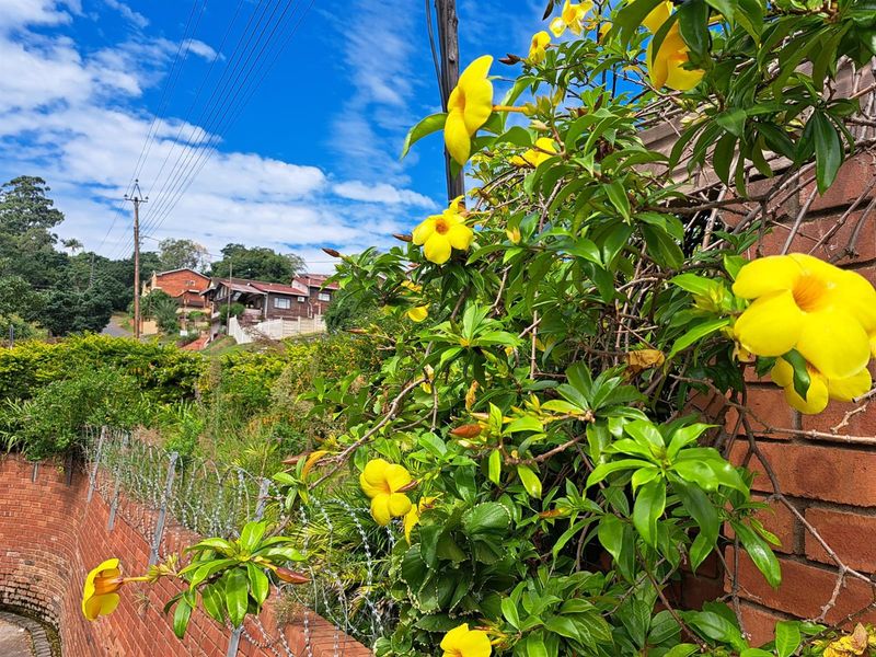 BARGAIN DELUXE - Photo 6