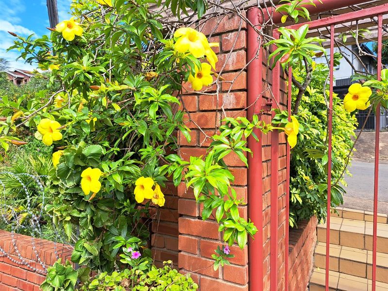 BARGAIN DELUXE - Photo 4