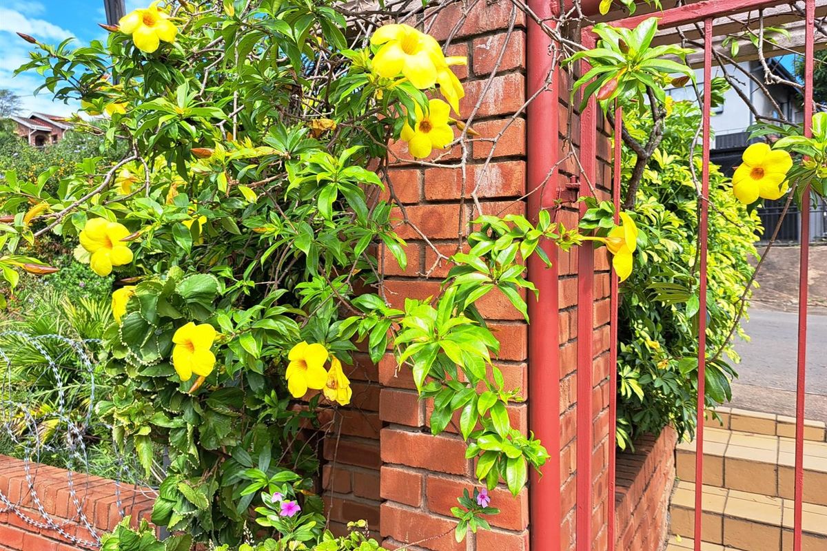 BARGAIN DELUXE - Photo 4