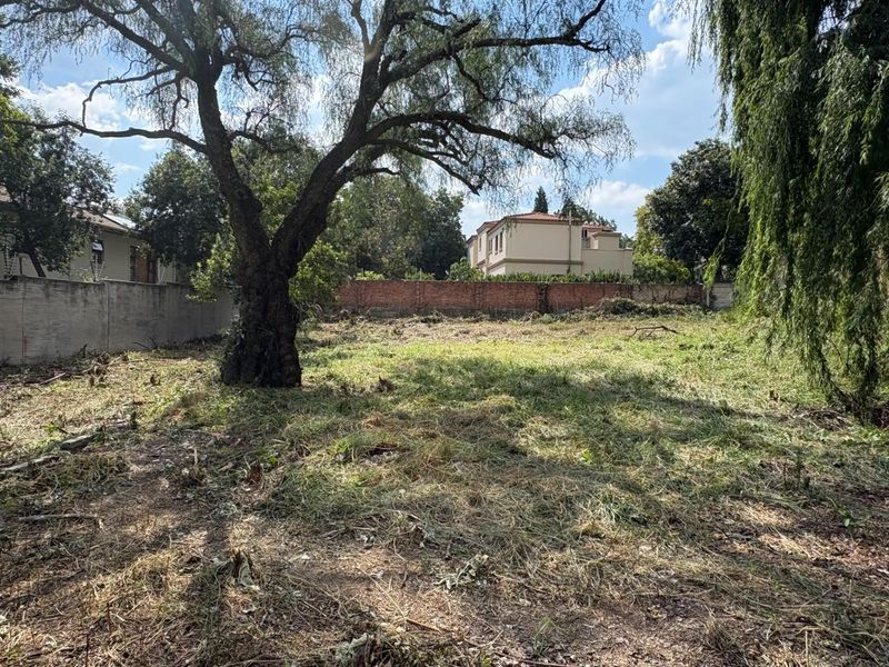 Bryanston East | Just under 2,000 m2 | Panhandle access - Photo 3