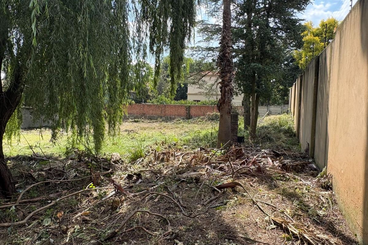 Bryanston East | Just under 2,000 m2 | Panhandle access - Photo 4