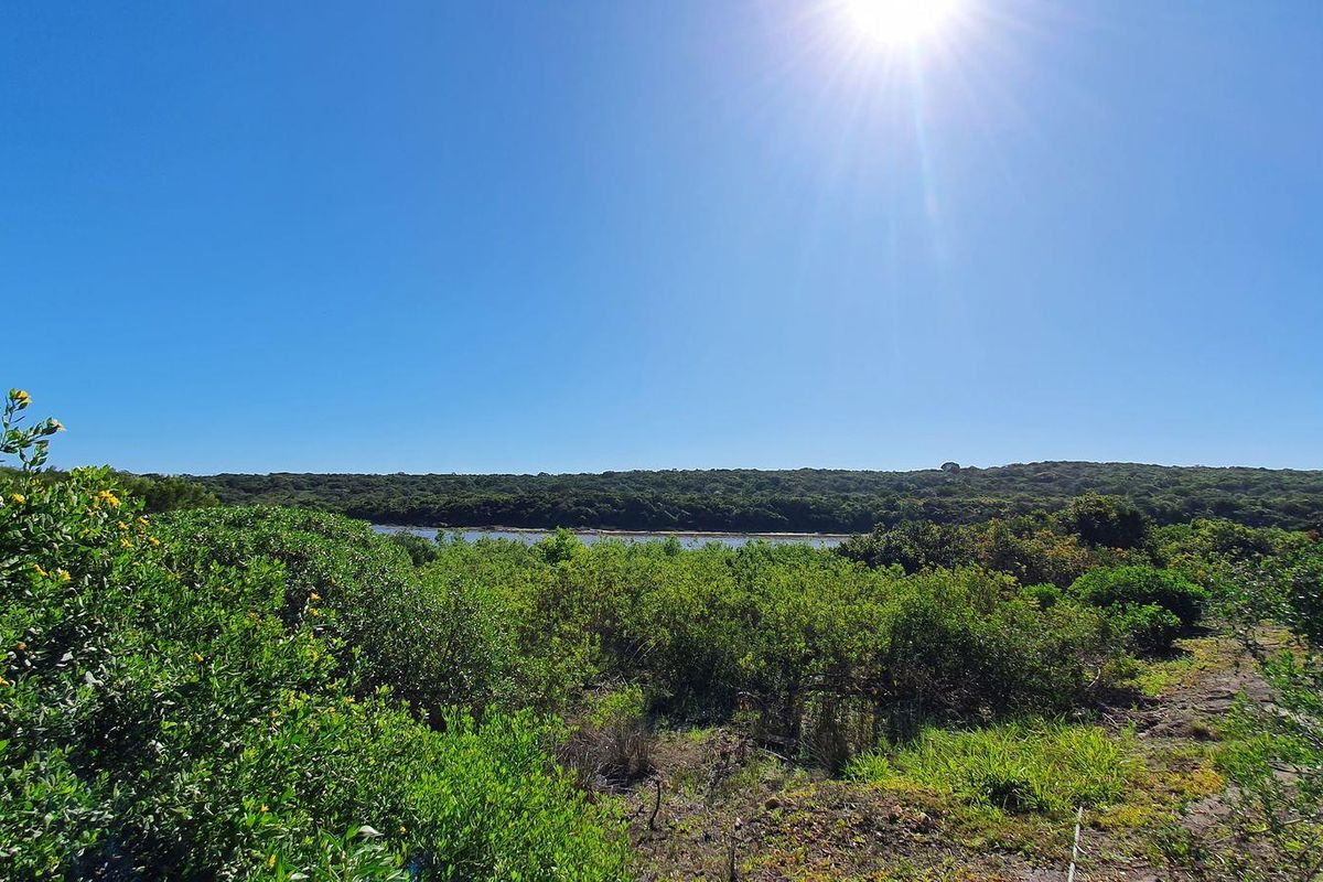 Vacant Land For Sale in Jeffreys Bay - Photo 3