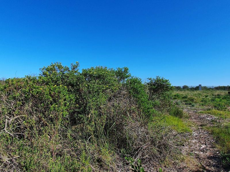Vacant Land For Sale in Jeffreys Bay - Photo 4