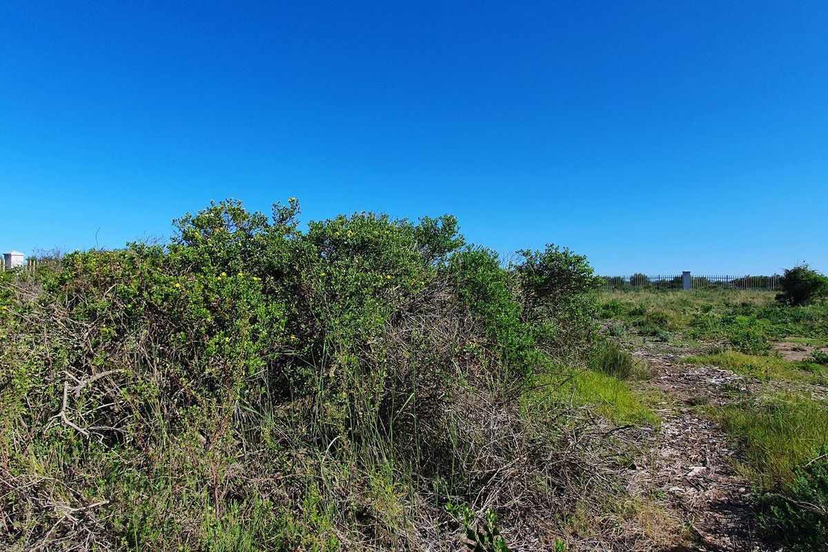 Vacant Land For Sale in Jeffreys Bay - Photo 4