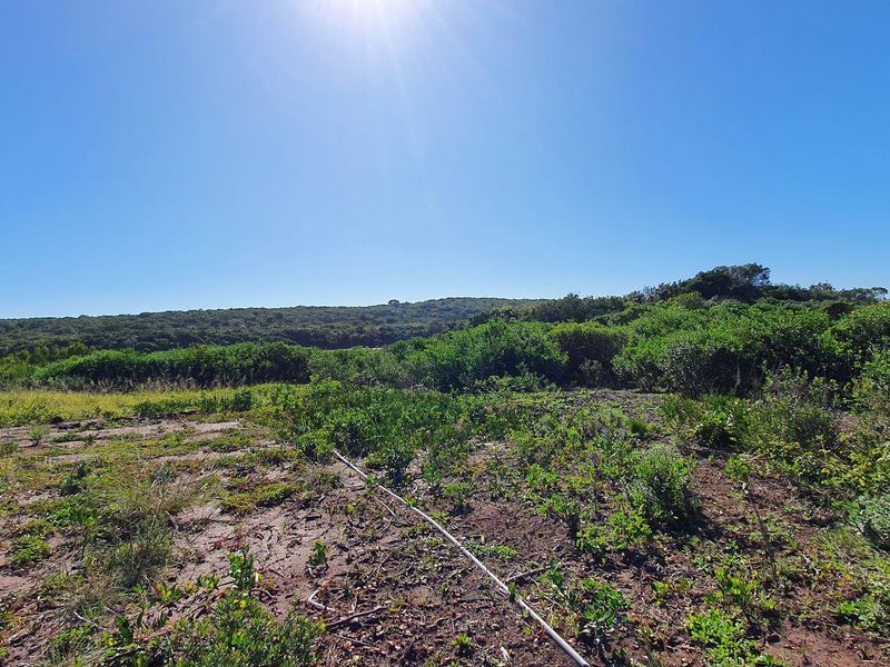 Vacant Land For Sale in Jeffreys Bay - Photo 7