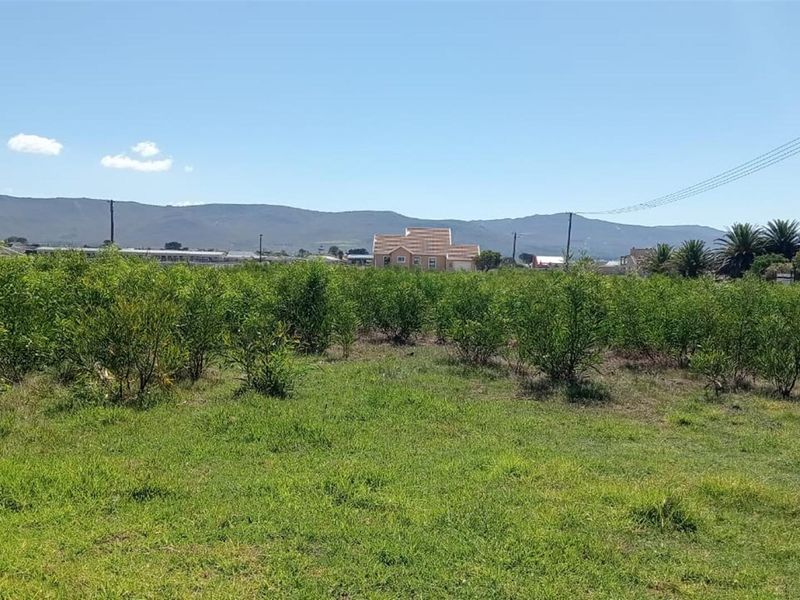 Rare Coastal Opportunity - 979m2 in Prime Fisherhaven Lagoon - Photo 3