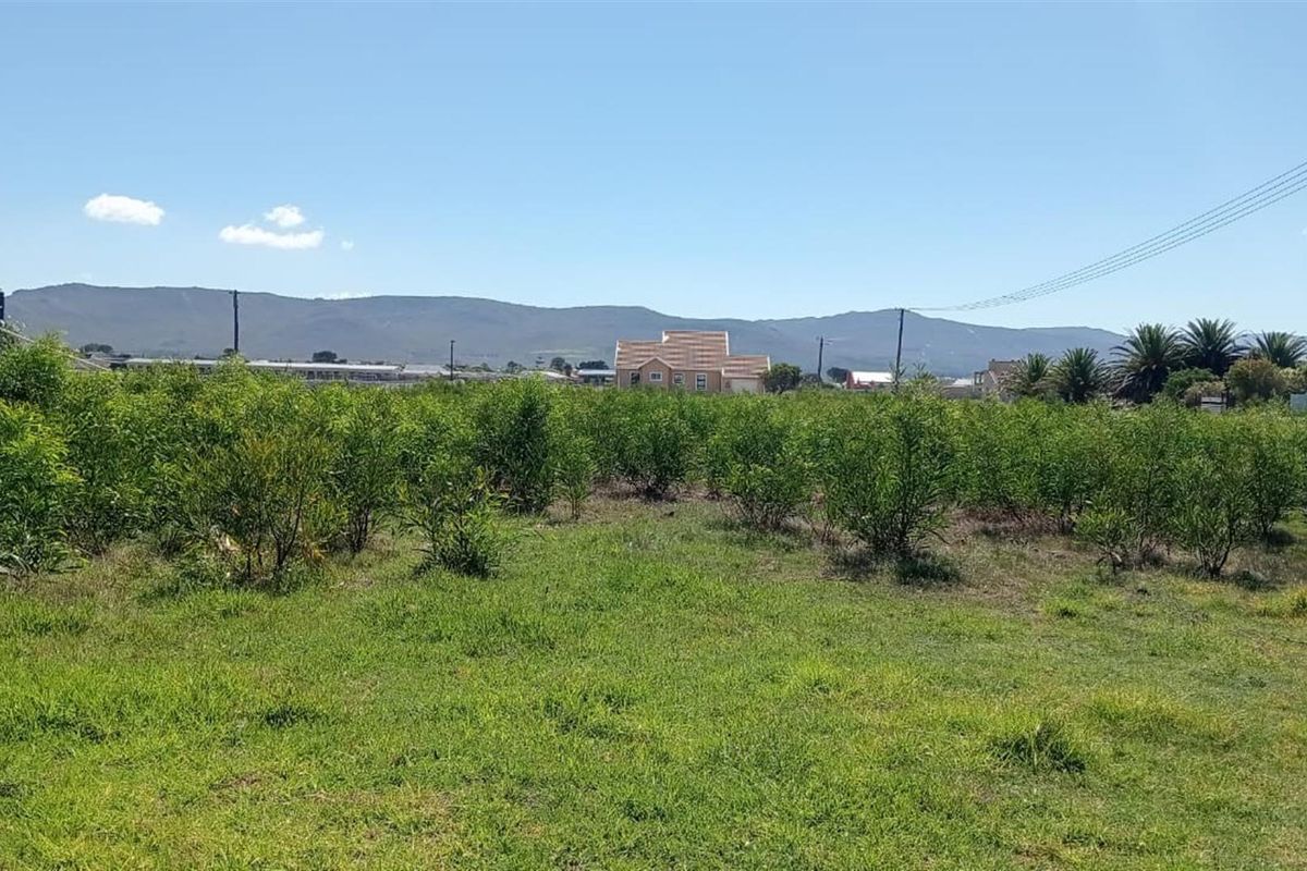 Rare Coastal Opportunity - 979m2 in Prime Fisherhaven Lagoon - Photo 3