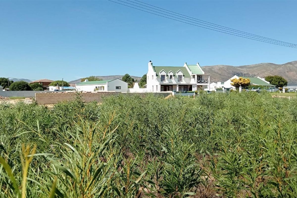 Rare Coastal Opportunity - 979m2 in Prime Fisherhaven Lagoon - Photo 2