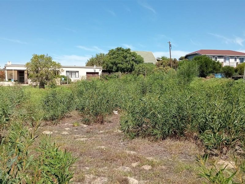 Rare Coastal Opportunity - 979m2 in Prime Fisherhaven Lagoon - Photo 8