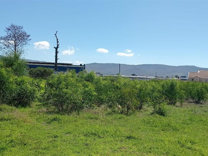 Rare Coastal Opportunity - 979m2 in Prime Fisherhaven Lagoon - Photo 4