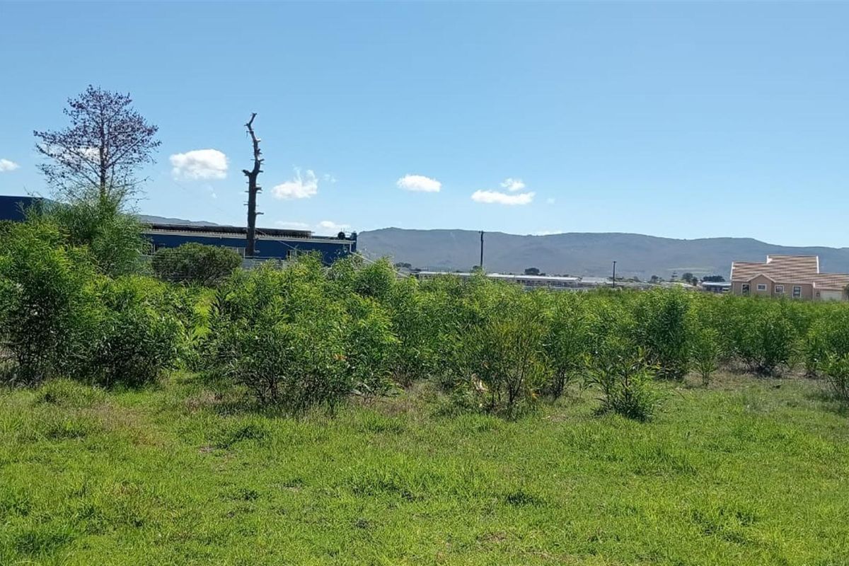 Rare Coastal Opportunity - 979m2 in Prime Fisherhaven Lagoon - Photo 4