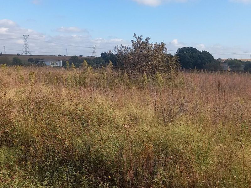 A view of a large, undeveloped residential plot of land featuring natural grassland and surrounding vegetation.