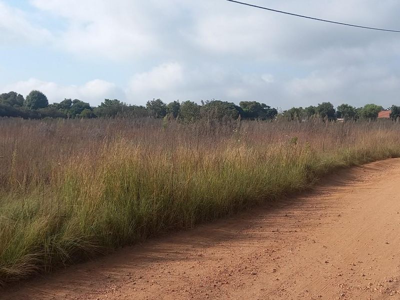 A view of a vacant residential plot adjacent to an unpaved road with visible utility poles and overhead power lines.