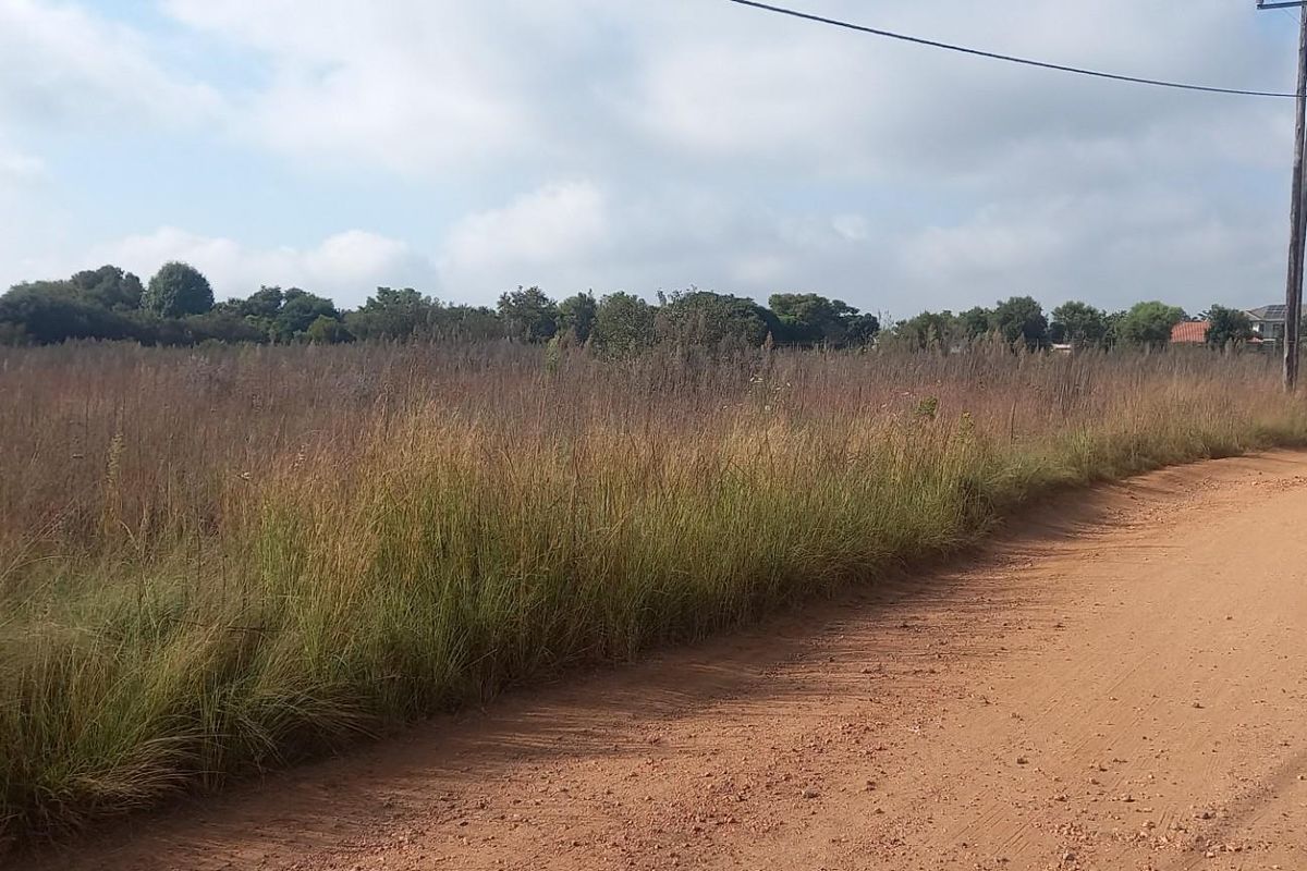 A view of a vacant residential plot adjacent to an unpaved road with visible utility poles and overhead power lines.