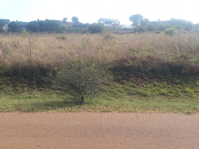 A view of a vacant residential plot of land featuring natural grassland and vegetation, viewed from the adjacent road.