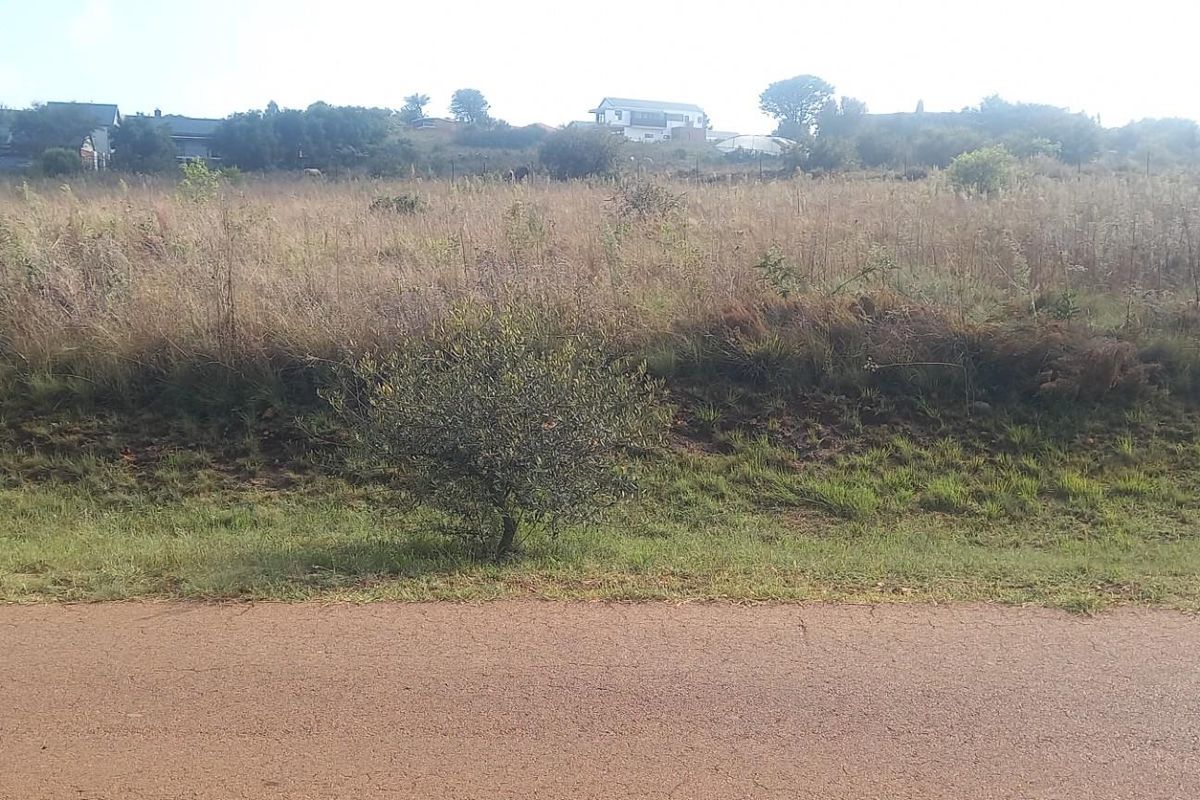 A view of a vacant residential plot of land featuring natural grassland and vegetation, viewed from the adjacent road.