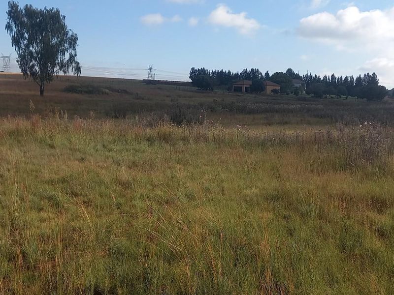 A wide-angle view of a vacant residential plot featuring natural grassland, scattered trees, and distant power lines under a clear sky.
