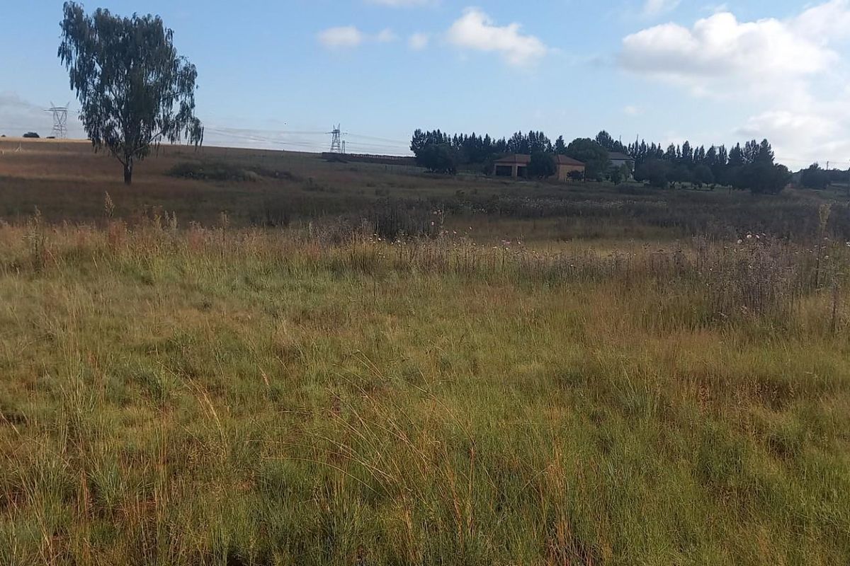 A wide-angle view of a vacant residential plot featuring natural grassland, scattered trees, and distant power lines under a clear sky.
