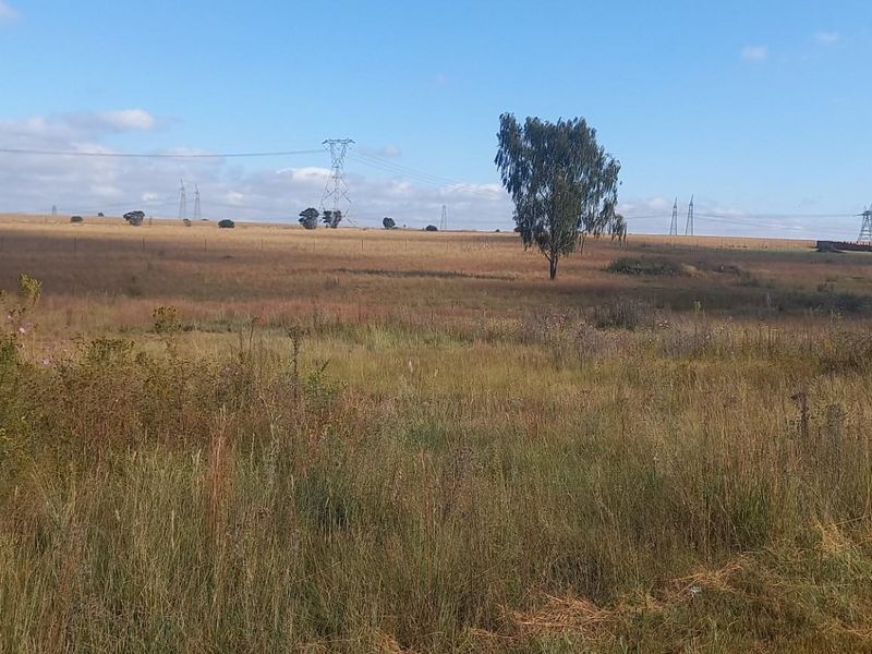 A wide-angle view of a vacant residential plot featuring natural grassland, scattered trees, and overhead power lines in the distance.