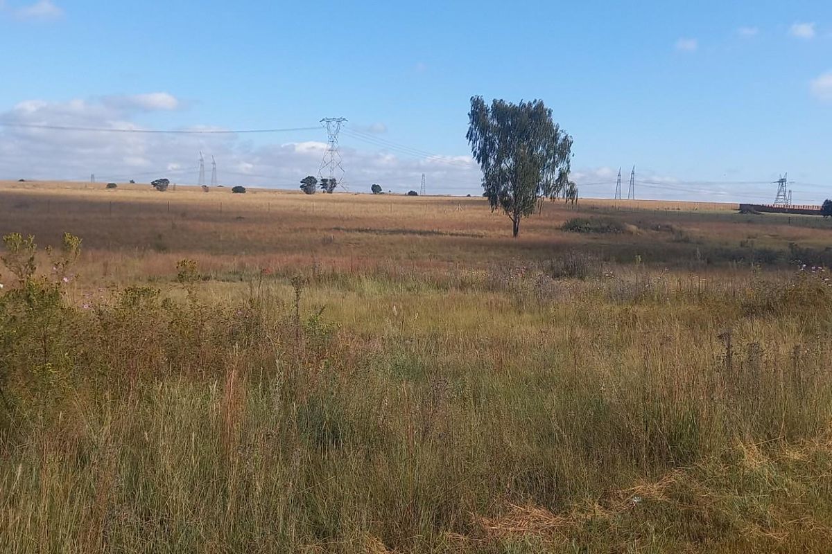 A wide-angle view of a vacant residential plot featuring natural grassland, scattered trees, and overhead power lines in the distance.