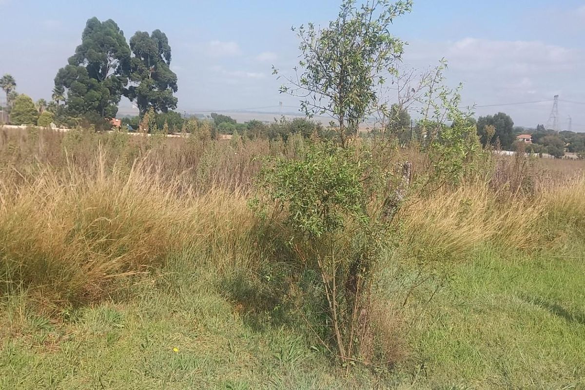 Vacant Land For Sale in Rietvlei View Country Estates, Pretoria - Photo 3