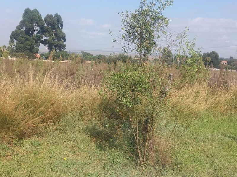 A view of a vacant residential plot featuring natural grassland and established trees, suitable for future development.