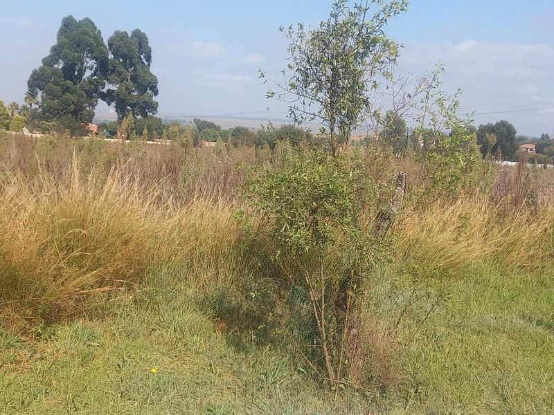 A view of a vacant residential plot featuring natural grass and vegetation, suitable for future development.