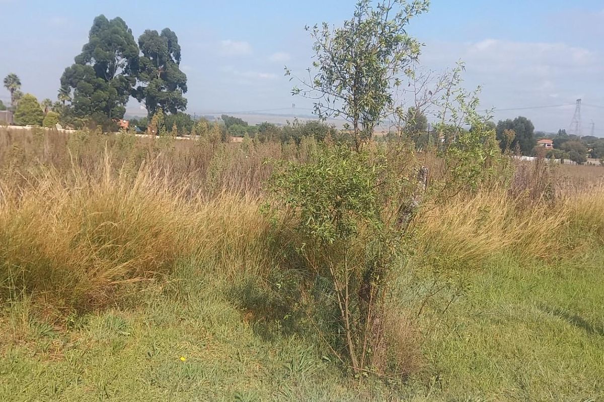 A view of a vacant residential plot featuring natural grass and vegetation, suitable for future development.