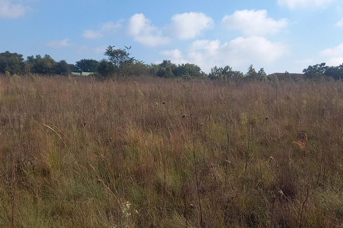 Vacant Land for Sale in Rietvlei View Country Estate - Photo 3