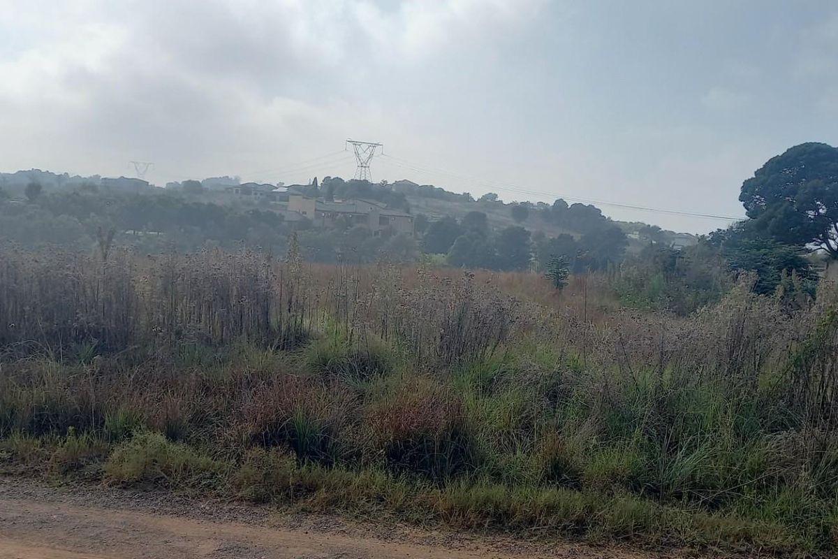 A view of a vacant residential plot featuring natural vegetation, surrounding landscape, and distant power lines under an overcast sky.