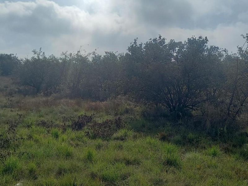 Vacant Land for Sale in Rietvlei View Country Estate - Photo 2