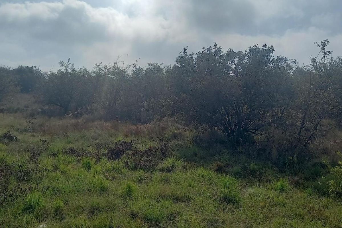 Vacant Land for Sale in Rietvlei View Country Estate - Photo 2