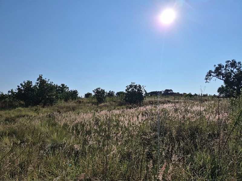 Vacant Land For Sale in Helderzicht Eco Estate, Potchefstroom, North West - Photo 10