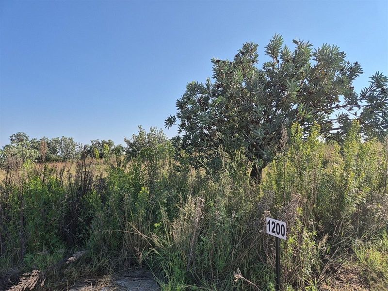 Vacant Land For Sale in Helderzicht Eco Estate, Potchefstroom, North West - Photo 8